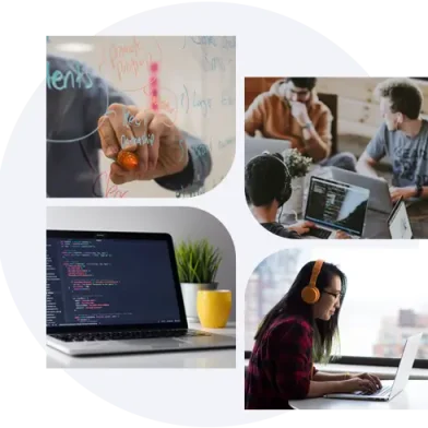 Web Development